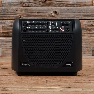 Acoustic Image Coda R Series III Combo