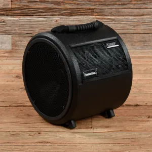 Acoustic Image Double Shot Cabinet