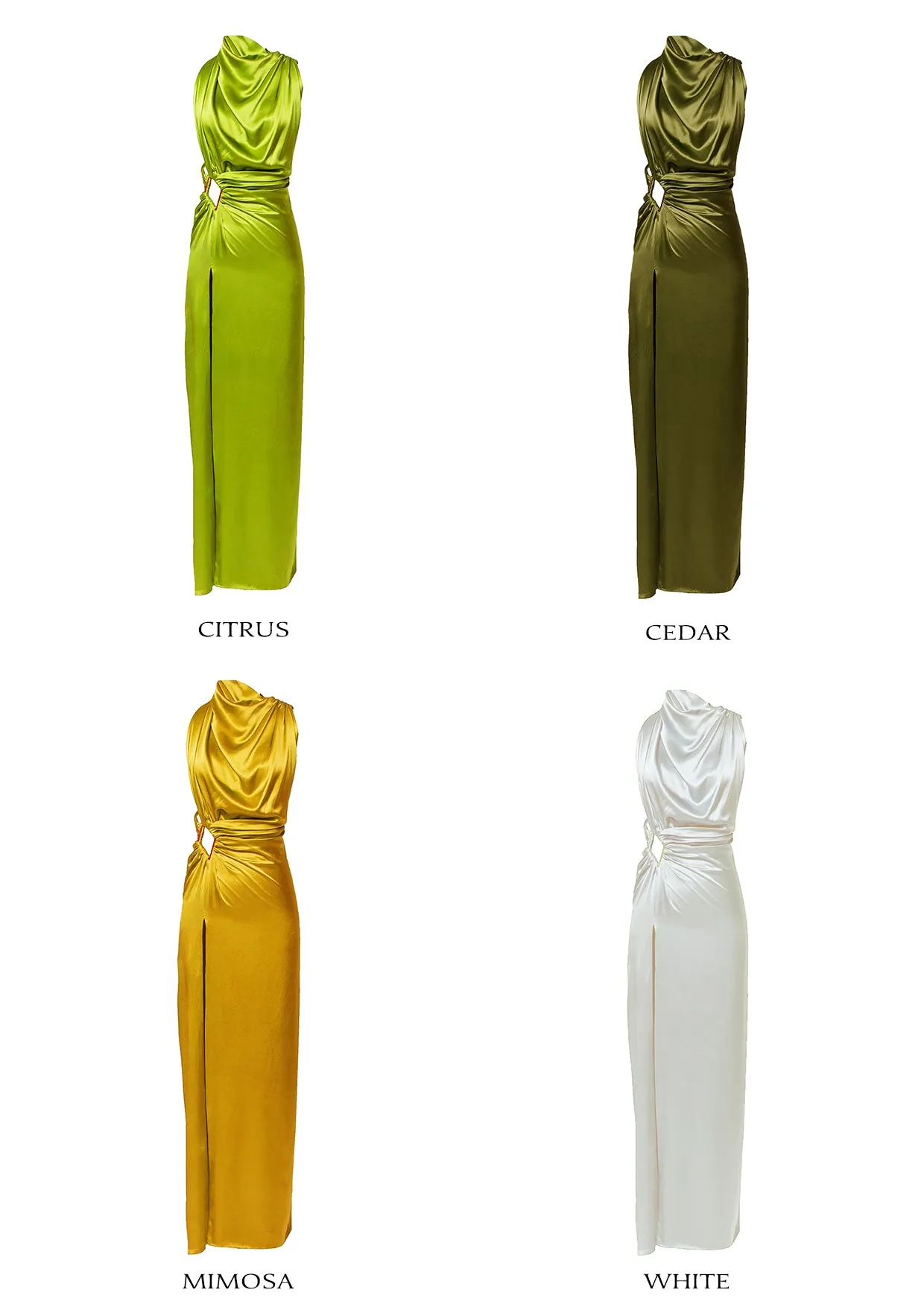 Eden Backless Silk Maxi Dress